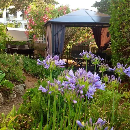 A 40 M² Proche Du Jardin Frejus