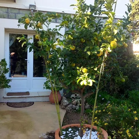 A 40 M² Proche Du Jardin Apartamento