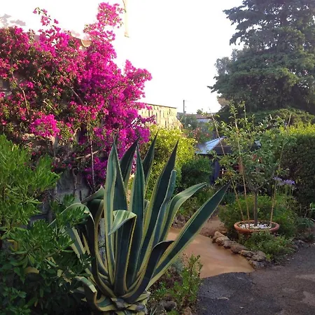 Apartment A 40 M² Proche Du Jardin