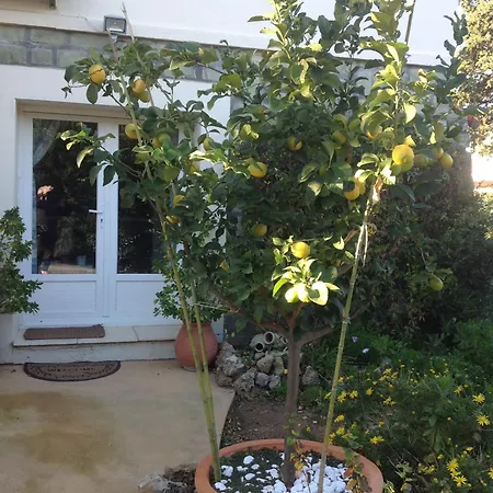A Frejus, 40 M², Proche Du Jardin Apartmán