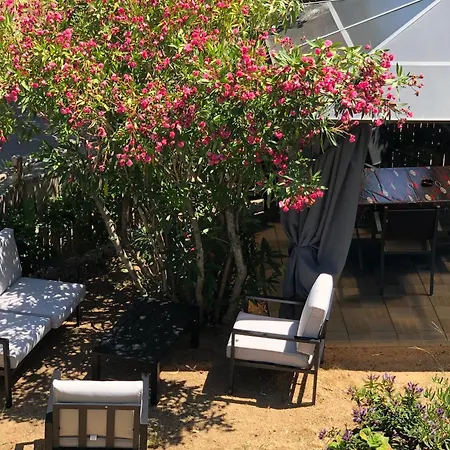 à Fréjus, 40 M², Proche Du Jardin * Fréjus
