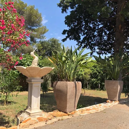 公寓 A Frejus, 40 M², Proche Du Jardin Fréjus