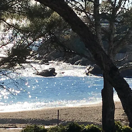 à Fréjus, 40 M², Proche Du Jardin Appartamento Fréjus